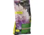 Hornbach Rhododendrondünger Manna 1 kg / 15 m²