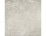 Hornbach Feinsteinzeug Bodenfliese Arona 59,5x59,5 cm grau matt rektifiziert