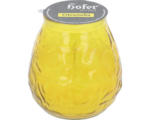Hornbach Kerze im Glas Duftkerze Hofer Citronella H 10 cm gelb