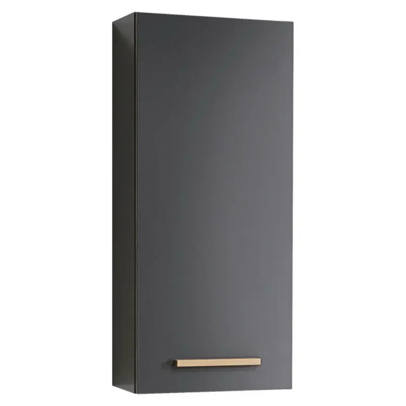 Hängeschrank 30/70/20 cm
