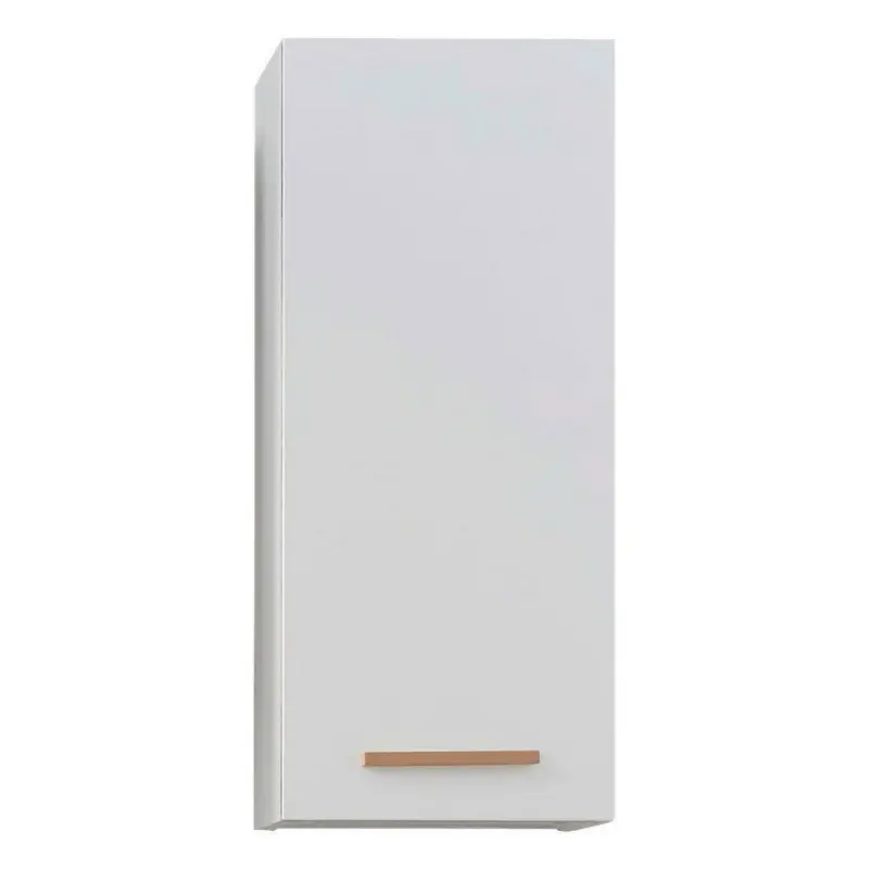 Hängeschrank 30/70/20 cm