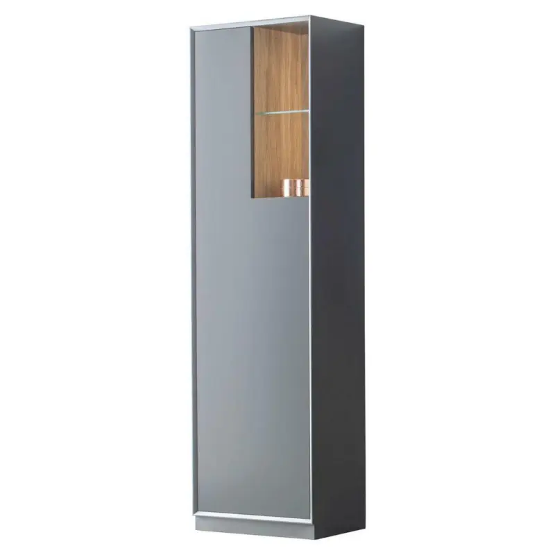 Garderobenschrank 60/204,5/36 cm
