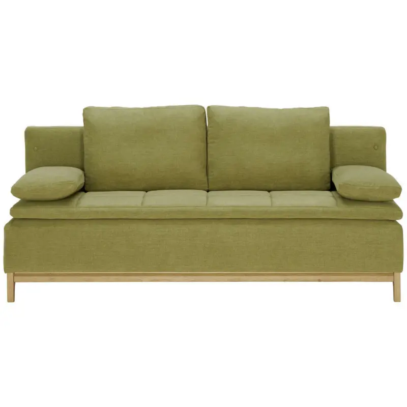 Schlafsofa in Grün