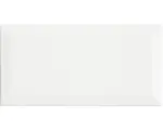 Hornbach Steinzeug Wandfliese Metro 10,0x20,0 cm weiß glänzend