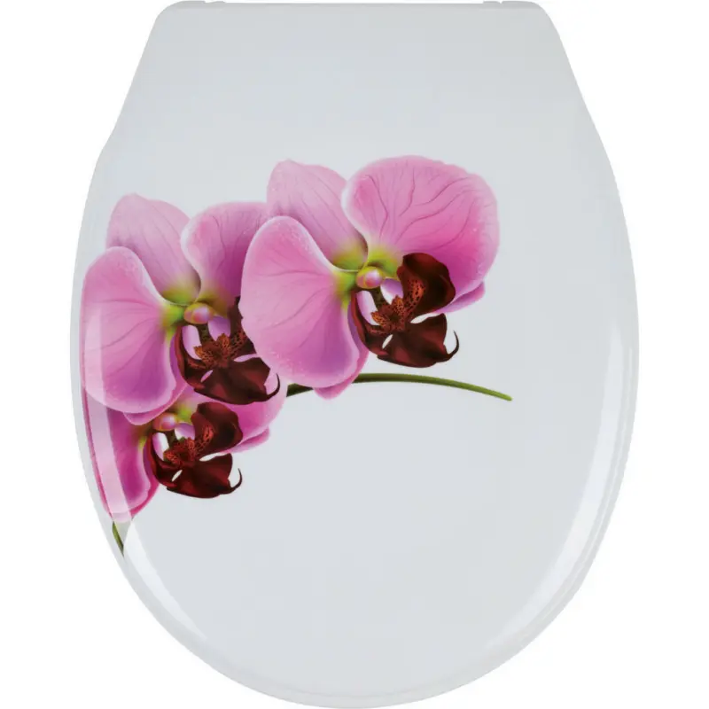 Wc-Sitz