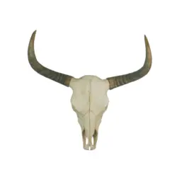 Dekoschädel 73/23/73 cm