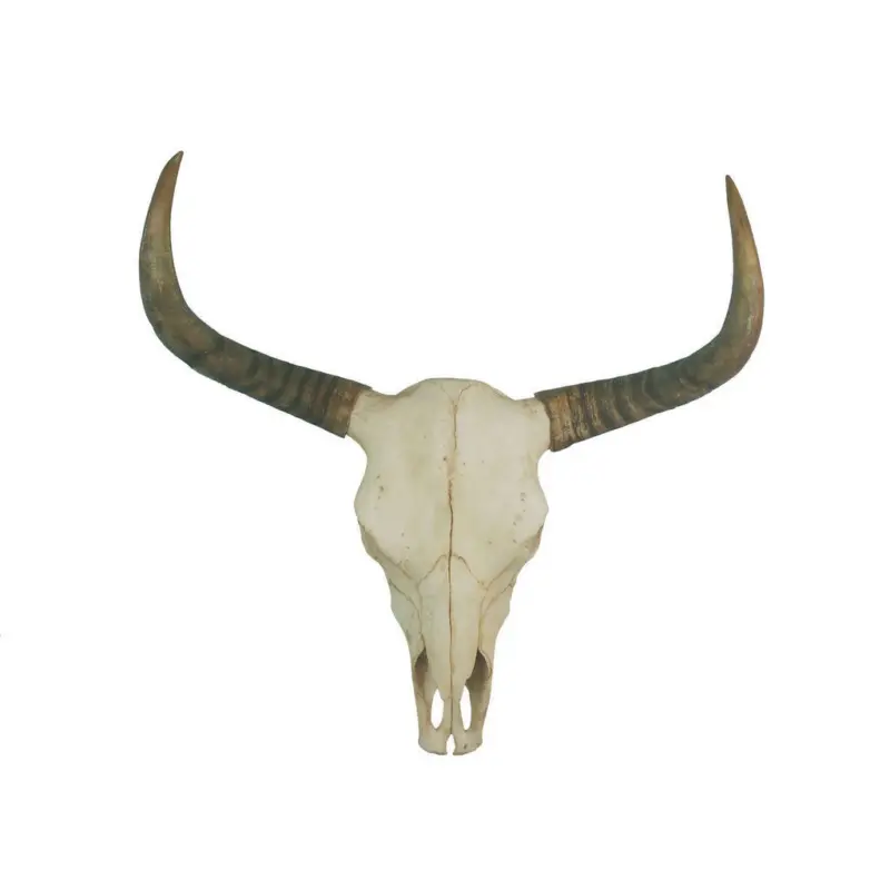 Dekoschädel 73/23/73 cm