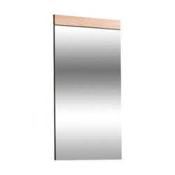 Wandspiegel 60/106/3 cm