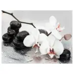 XXXLutz Lauterach - Ihr Möbelhaus bei Bregenz Glasbild 120/80 cm