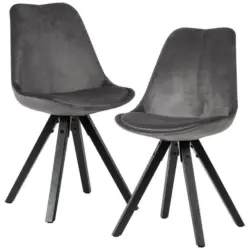 Stuhl-Set 2 Stück in Samt