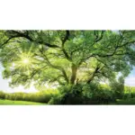 XXXLutz Lauterach - Ihr Möbelhaus bei Bregenz Acrylglasbild 180/100/1,70 cm