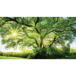 Acrylglasbild 180/100/1,70 cm