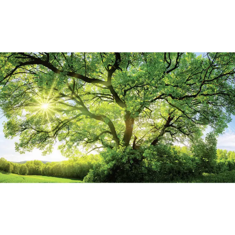 Acrylglasbild 180/100/1,70 cm