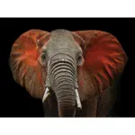 XXXLutz Lauterach - Ihr M&ouml;belhaus bei Bregenz Keilrahmenbild 135/100 cm