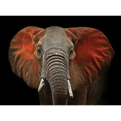 Keilrahmenbild 135/100 cm