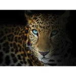 XXXLutz Lauterach - Ihr M&ouml;belhaus bei Bregenz Keilrahmenbild 135/100 cm