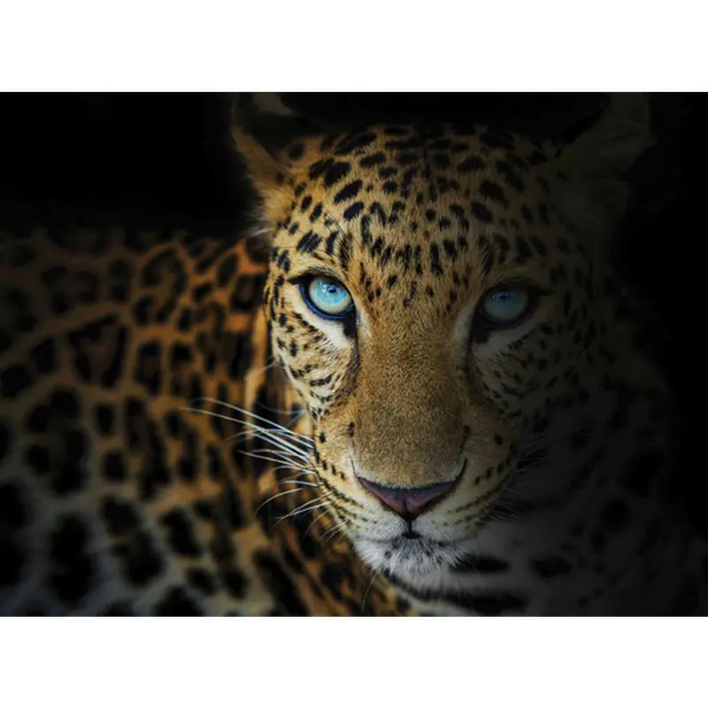 Keilrahmenbild 135/100 cm