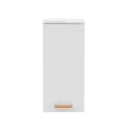Hängeschrank 32,7/72,3/16,3 cm