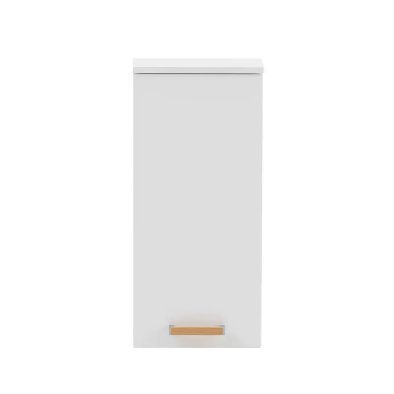 Hängeschrank 32,7/72,3/16,3 cm