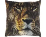 Hornbach Kissen Motiv Löwe 45x45 cm