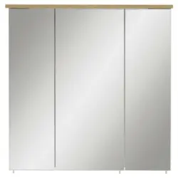 Spiegelschrank 70,5/72,3/23,7 cm