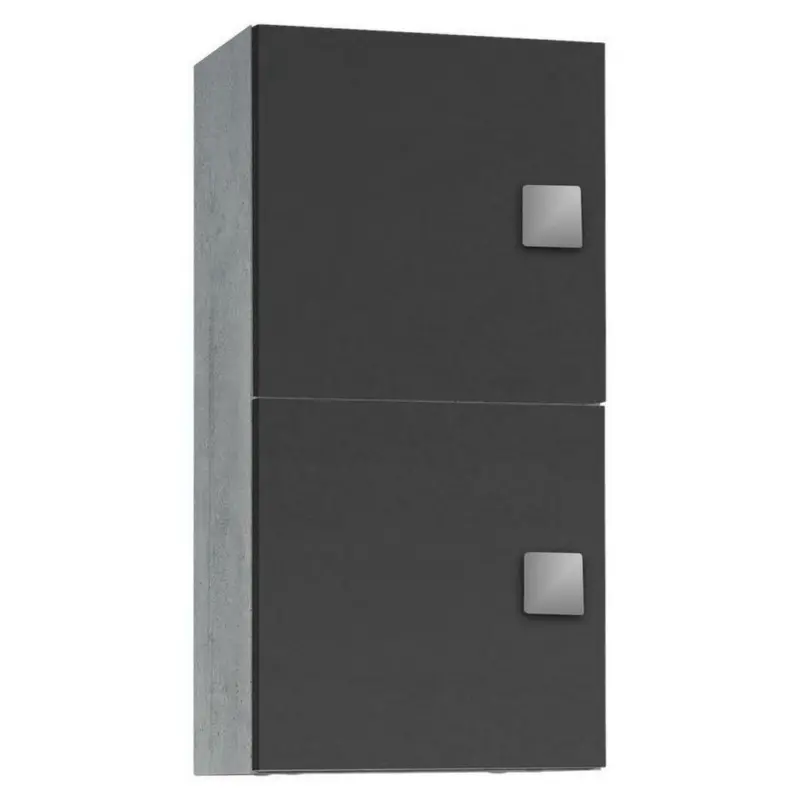 Hängeschrank 33,0/65,0/20,0 cm