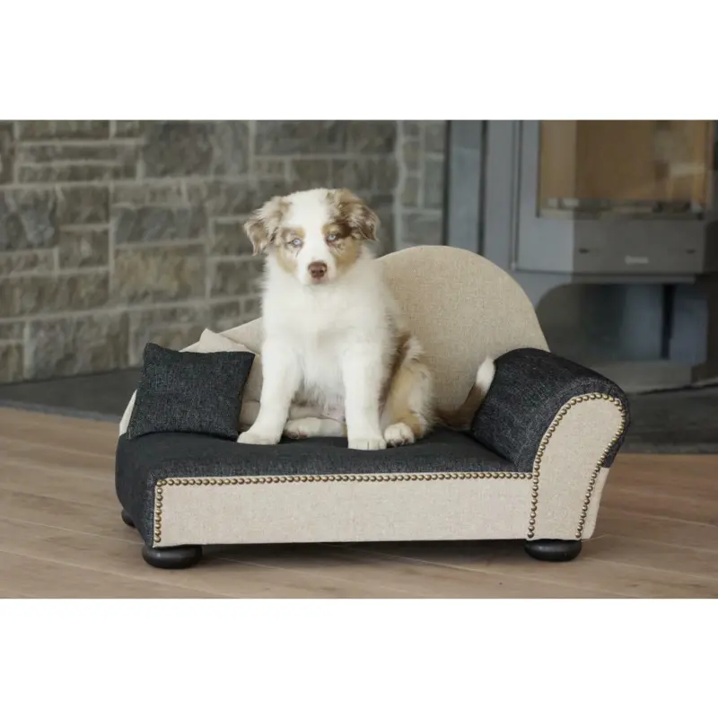 Hundesofa 21923001
