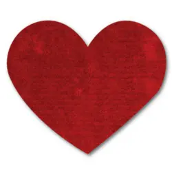 Hochflorteppich Ks-5