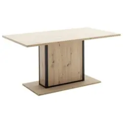 Esstisch in Holzwerkstoff 160/90/77 cm