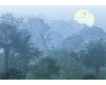 Hornbach Fototapete Vlies INX8-052 Ink Deep in the Jungle 8-tlg. 400 x 280 cm