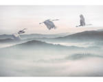 Hornbach Fototapete Vlies INX8-083 Ink Mystic Cranes 8-tlg. 400 x 280 cm