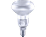 Hornbach FLAIR LED Reflektorlampe dimmbar R50 E14/2,2W(18W) 170 lm 6500 K tageslichtweiß matt