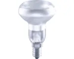 Hornbach FLAIR LED Reflektorlampe dimmbar R50 E14/2,2W(18W) 170 lm 6500 K tageslichtweiß matt