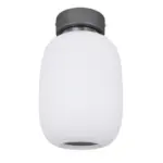 XXXLutz Lauterach - Ihr Möbelhaus bei Bregenz Deckenleuchte 21 W 20/32,5 cm