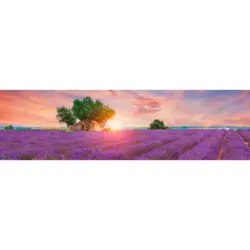 Acrylglasbild 50/180/1,70 cm