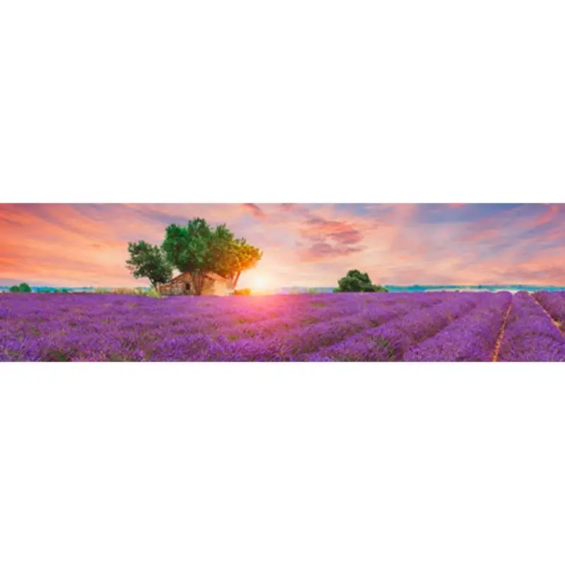 Acrylglasbild 50/180/1,70 cm