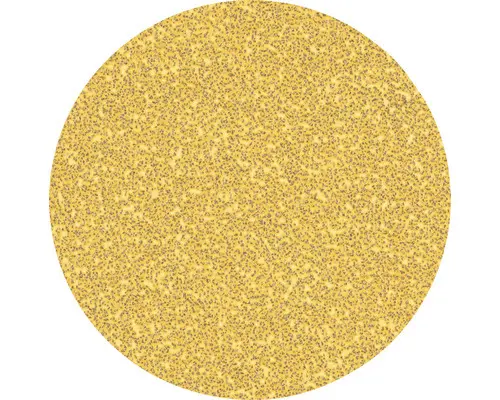 Schleifscheibe für Exzenterschleifer Bosch, Ø115 mm, Korn 40, Ungelocht, 50 Stück