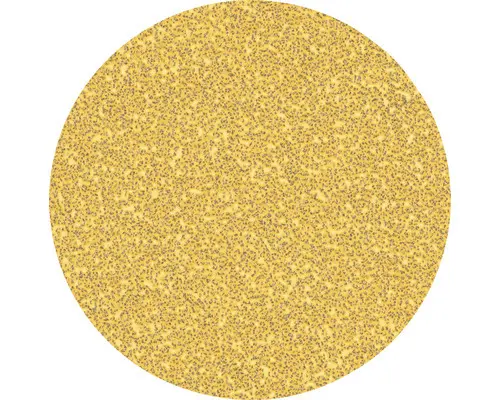 Schleifscheibe für Exzenterschleifer Bosch, Ø125 mm, Korn 40, Ungelocht, 50 Stück