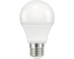 Hornbach FLAIR LED Lampe A60 3-step dimmbar E27/8W(60W) 806 lm 2700 K warmweiß matt