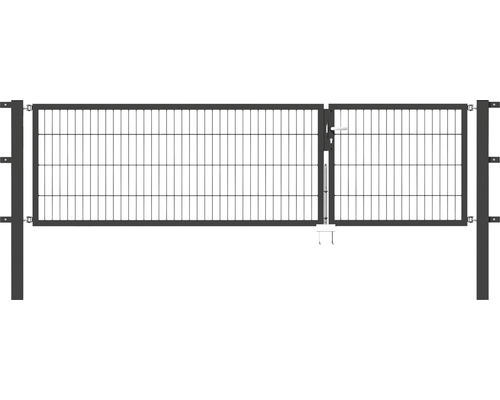 Doppeltor Flexo 298,5 x 80 cm anthrazit