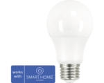 Hornbach LED-Lampe A60 E27 / 8,5 W ( 60 W ) matt 806 lm 2200 5000 K einstellbares weiß