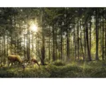 Hornbach Leinwandbild Rehe im Wald 100x150 cm