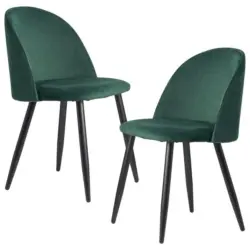 Stuhl-Set 2 Stück in Samt