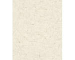 Hornbach Vliestapete 32802 Vintage Deluxe Putz-Optik beige