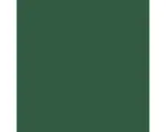 Hornbach Muster zu Trapezblech 11x7,5 cm Moosgrün RAL 6005