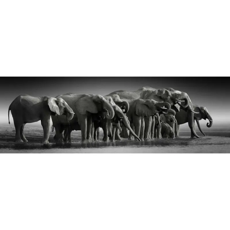 Keilrahmenbild 180/60 cm