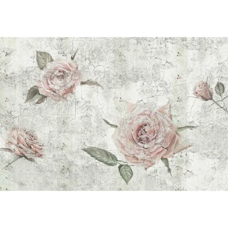 Vlies Fototapete Tantinet 400/260 cm