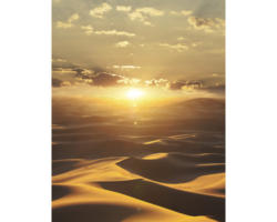 Fototapete Vlies 32545 Dune Wüste 4-tlg. 212 x 270 cm