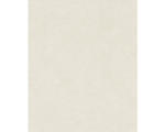 Hornbach Vliestapete 32516 Dune Strunktur beige
