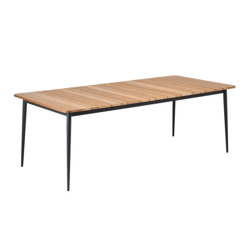 Gartentisch 220/95/76 cm